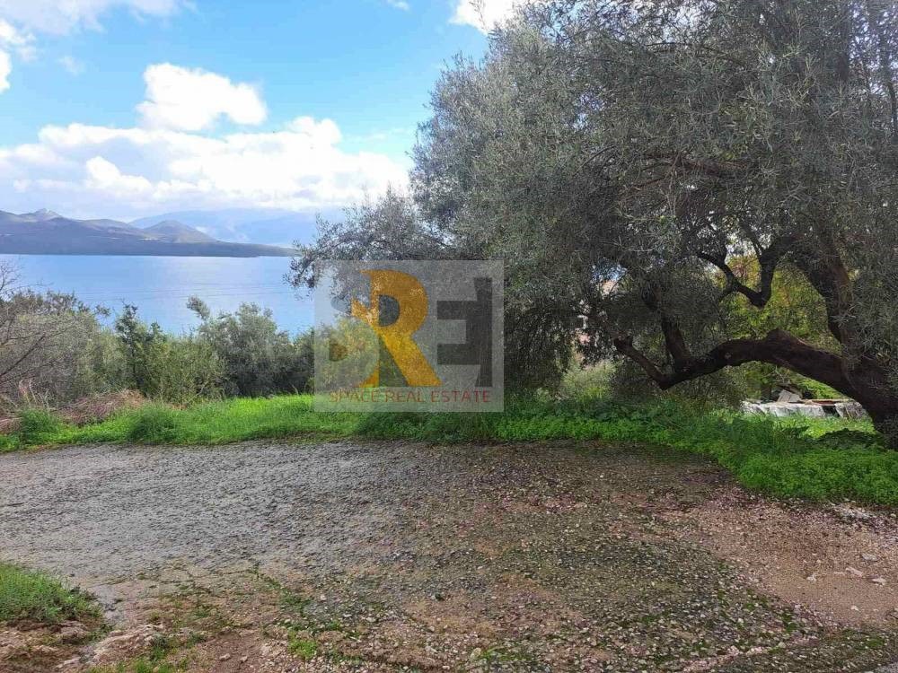 Οικόπεδο 1.118 τ.μ. για πώληση, Ν. Λευκάδας, Λευκάδα