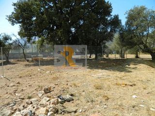 Οικόπεδο 217 τ.μ. για πώληση
