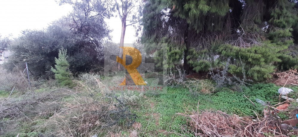Οικόπεδο 316 τ.μ. προς πώληση, Νέα Μάκρη