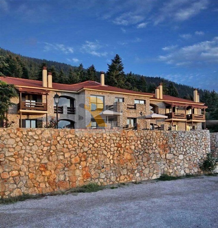 Επιχειρηματικό κτίριο 1.500 τ.μ. πρός πώληση, Αρκαδία, Βιτίνα