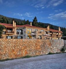 Επιχειρηματικό κτίριο 1.500 τ.μ. προς πώληση, Βυτίνα Αρκαδίας-thumb-11