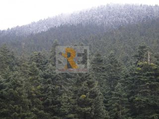 Επιχειρηματικό κτίριο 1.500 τ.μ. προς πώληση, Βυτίνα Αρκαδίας-thumb-8