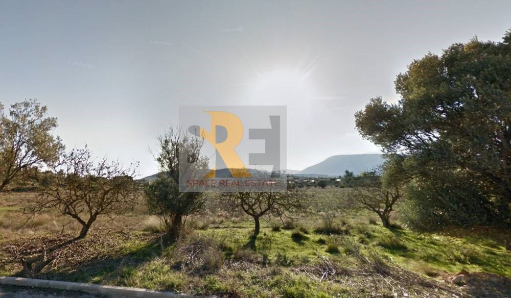 Οικόπεδο 1.600 τ.μ. πρός πώληση, Αθήνα - Ανατολικά Προάστια, Παλλήνη