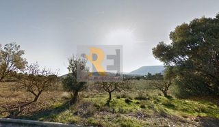 Οικόπεδο 1.600 τ.μ. για πώληση