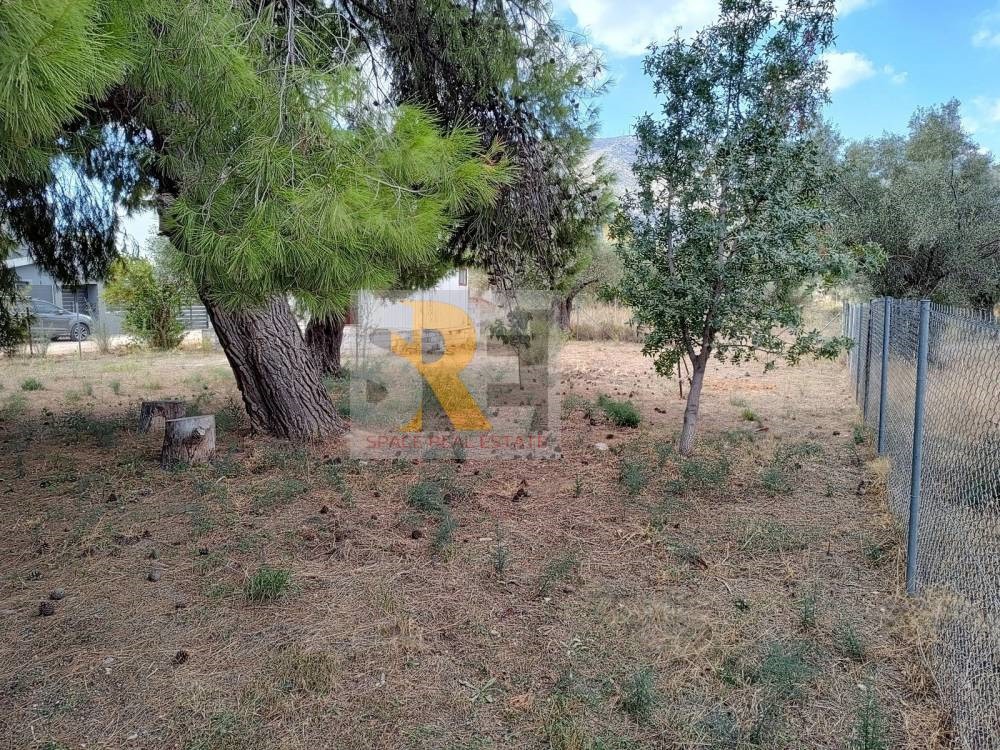 Οικόπεδο 464 τ.μ. πρός πώληση, Αθήνα - Ανατολικά Προάστια, Παιανία