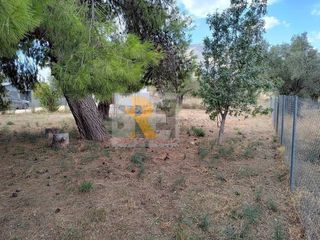 Οικόπεδο 464 τ.μ. για πώληση
