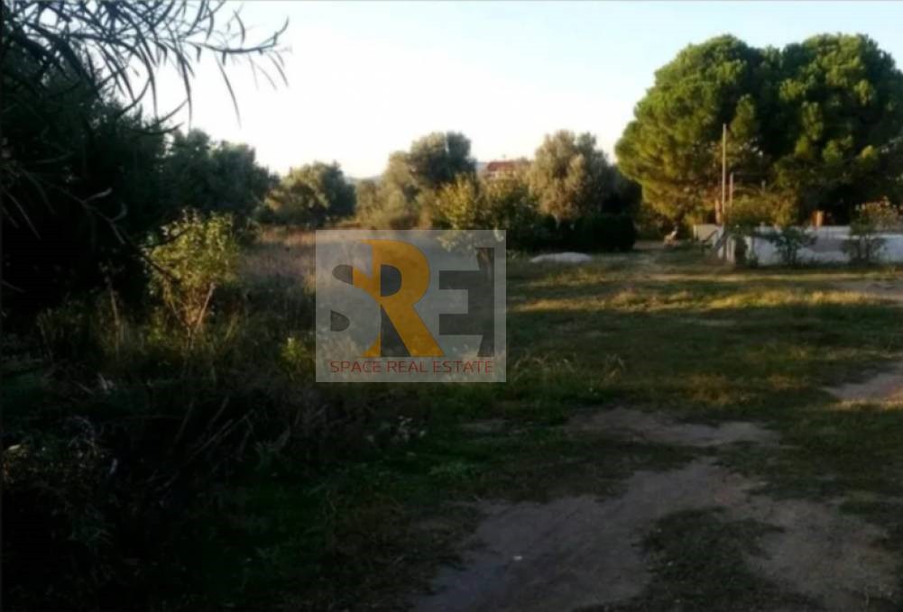 Οικόπεδο 1.018 τ.μ. προς πώληση, Αθήνα - Ανατολικά Προάστια, Παιανία