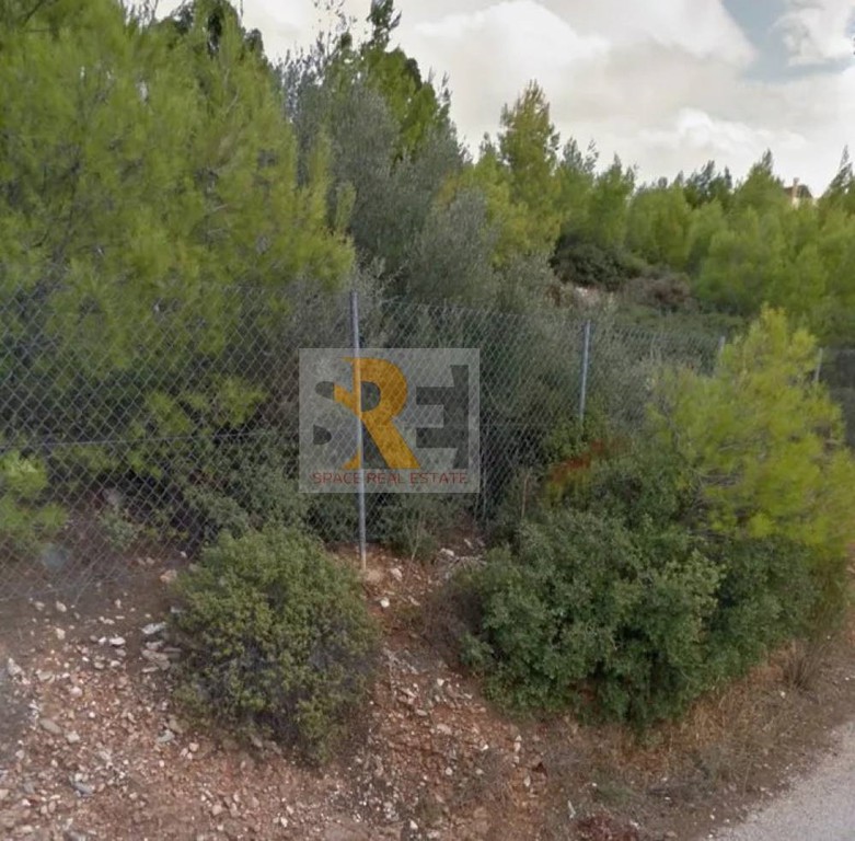 Οικόπεδο 7.912 τ.μ. προς πώληση, Διώνη Πικερμίου