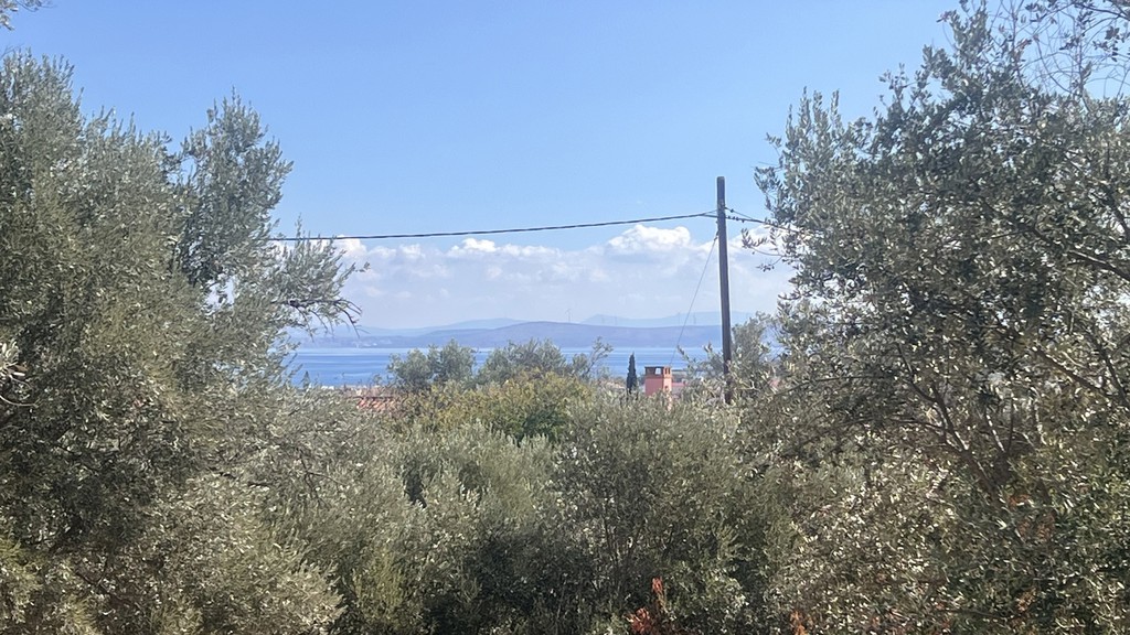 Οικόπεδο 2.235,79 τ.μ. προς πώληση, Πόλη Χίου