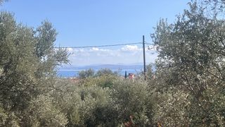 Οικόπεδο 2.235,79 τ.μ. για πώληση