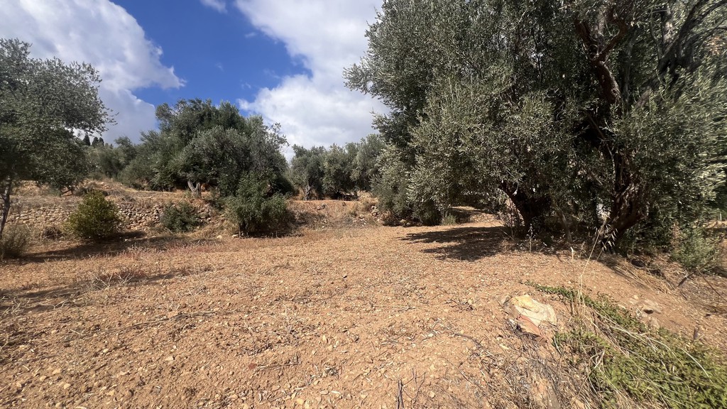 Οικόπεδο 2.235,79 τ.μ. προς πώληση, Πόλη Χίου