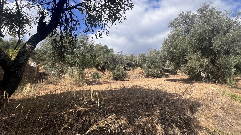 Οικόπεδο 2.235,79 τ.μ. προς πώληση, Πόλη Χίου