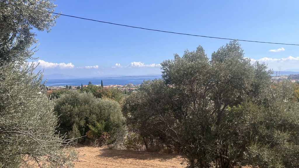 Οικόπεδο 1.684,69 τ.μ. προς πώληση, Πόλη Χίου