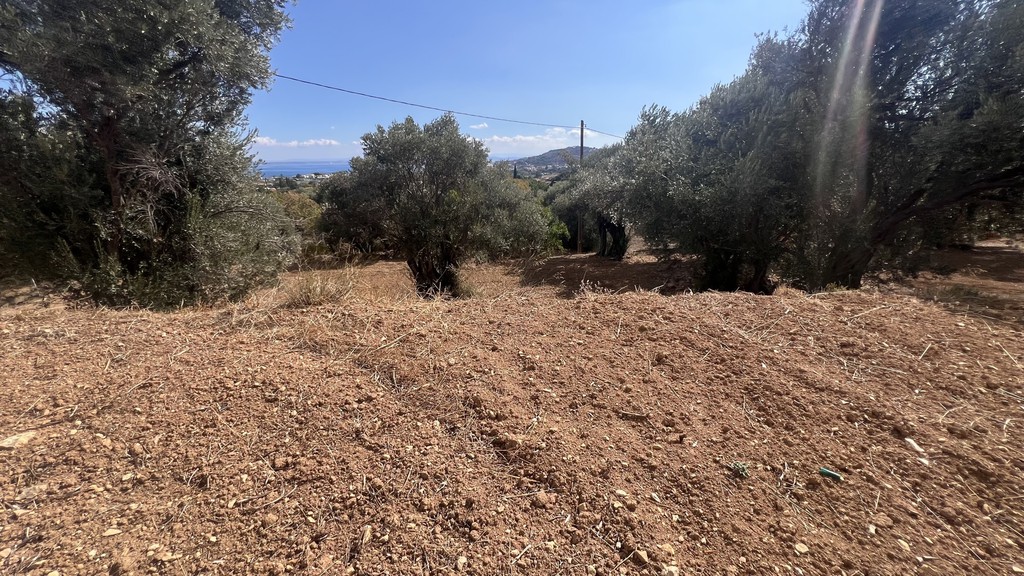 Οικόπεδο 1.684,69 τ.μ. προς πώληση, Πόλη Χίου