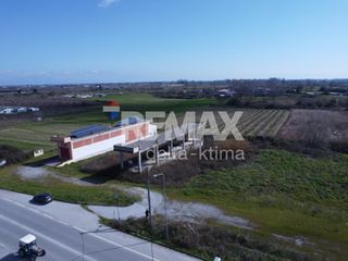Αγροτεμάχια 11.430 τ.μ. για πώληση