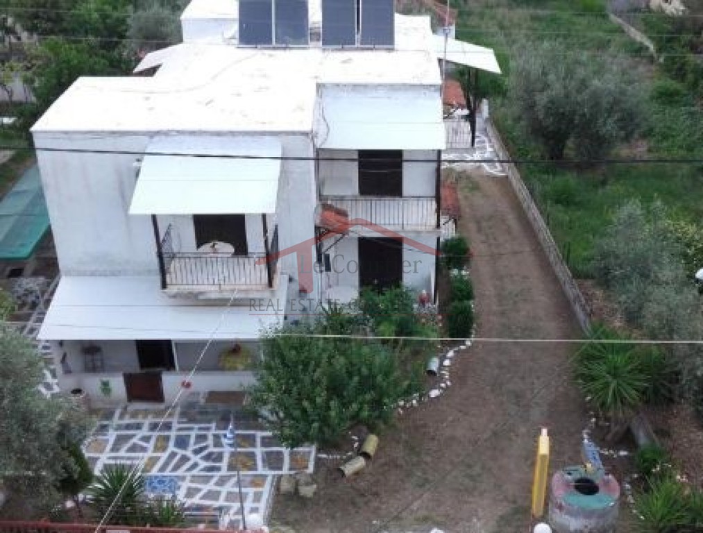 Ξενοδοχείο 870 τ.μ. πρός πώληση, Μαγνησία, Πτελεός