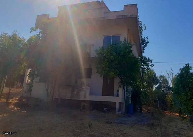 Μονοκατοικία 200 τ.μ. πρός πώληση, Φθιώτιδας, Δαφνούσες