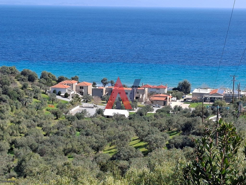 Οικόπεδο 3.500 τ.μ. προς πώληση, Σαλονικιού