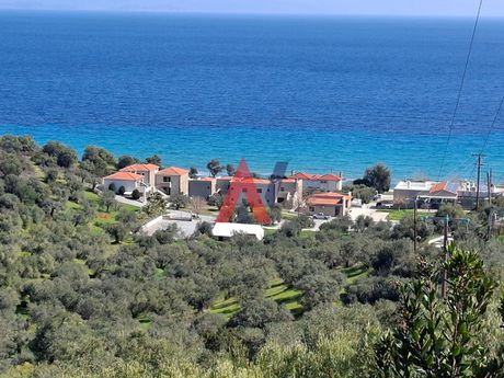 Οικόπεδο 3.500 τ.μ. προς πώληση