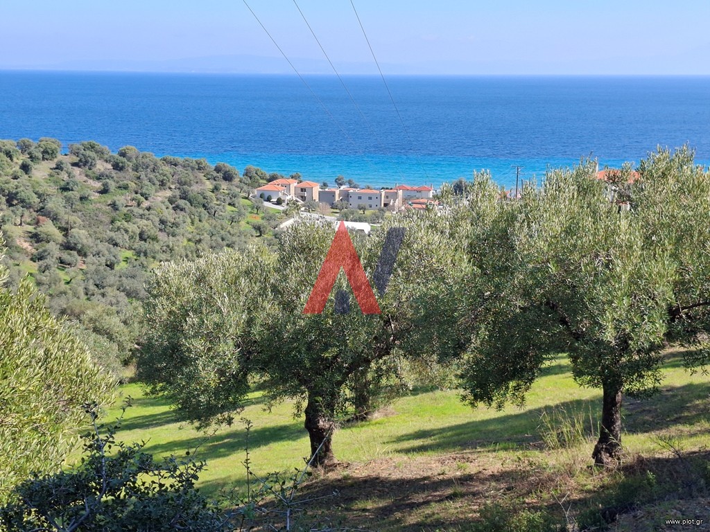 Οικόπεδο 3.500 τ.μ. προς πώληση, Σαλονικιού