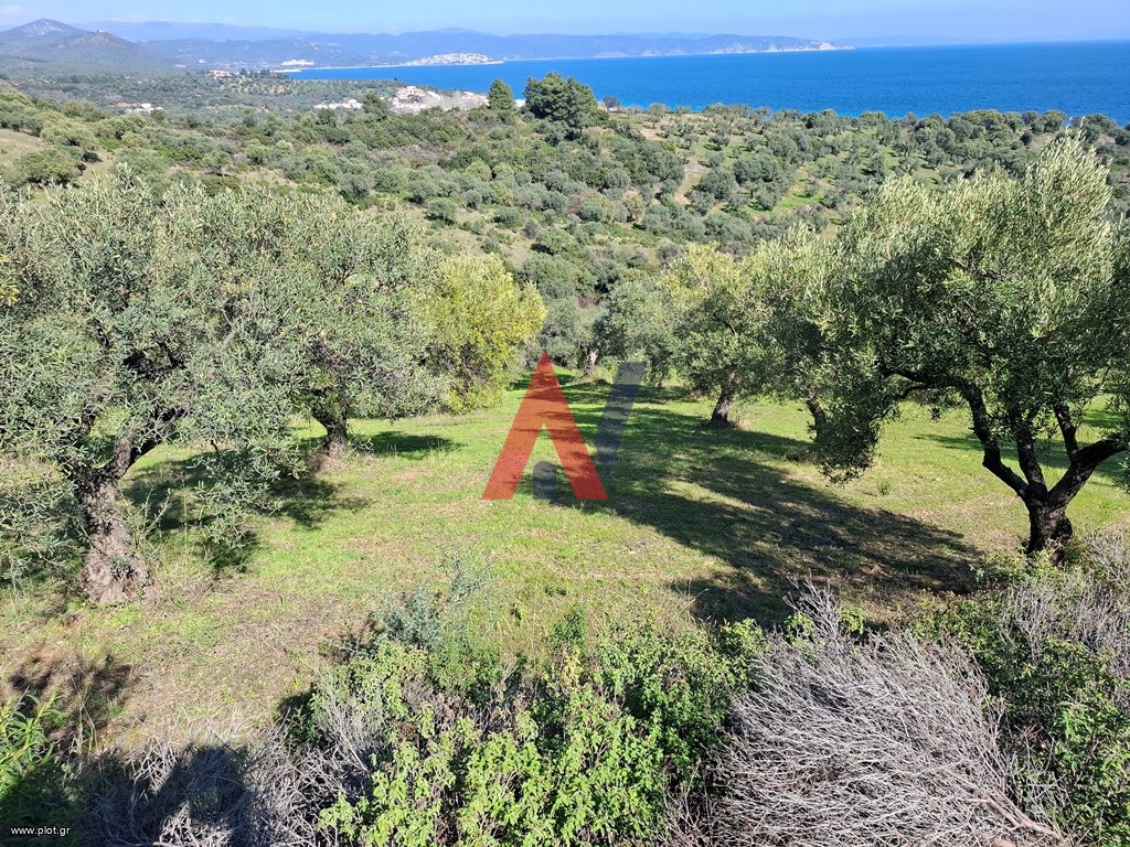 Οικόπεδο 3.500 τ.μ. προς πώληση, Σαλονικιού