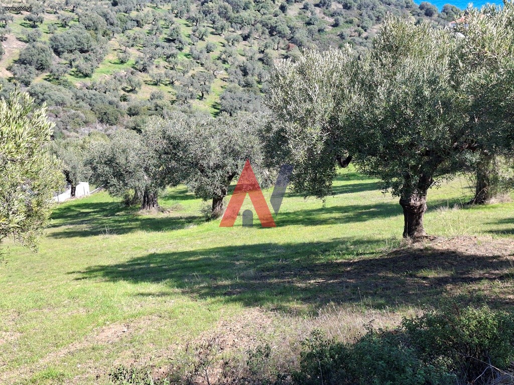 Οικόπεδο 3.500 τ.μ. προς πώληση, Σαλονικιού