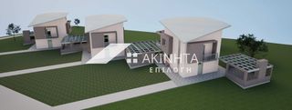 Αγροτεμάχια 4.654 τ.μ. για πώληση