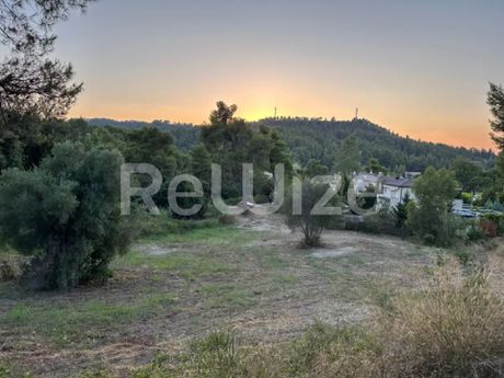 Αγροτεμάχια 5.530 τ.μ. προς πώληση