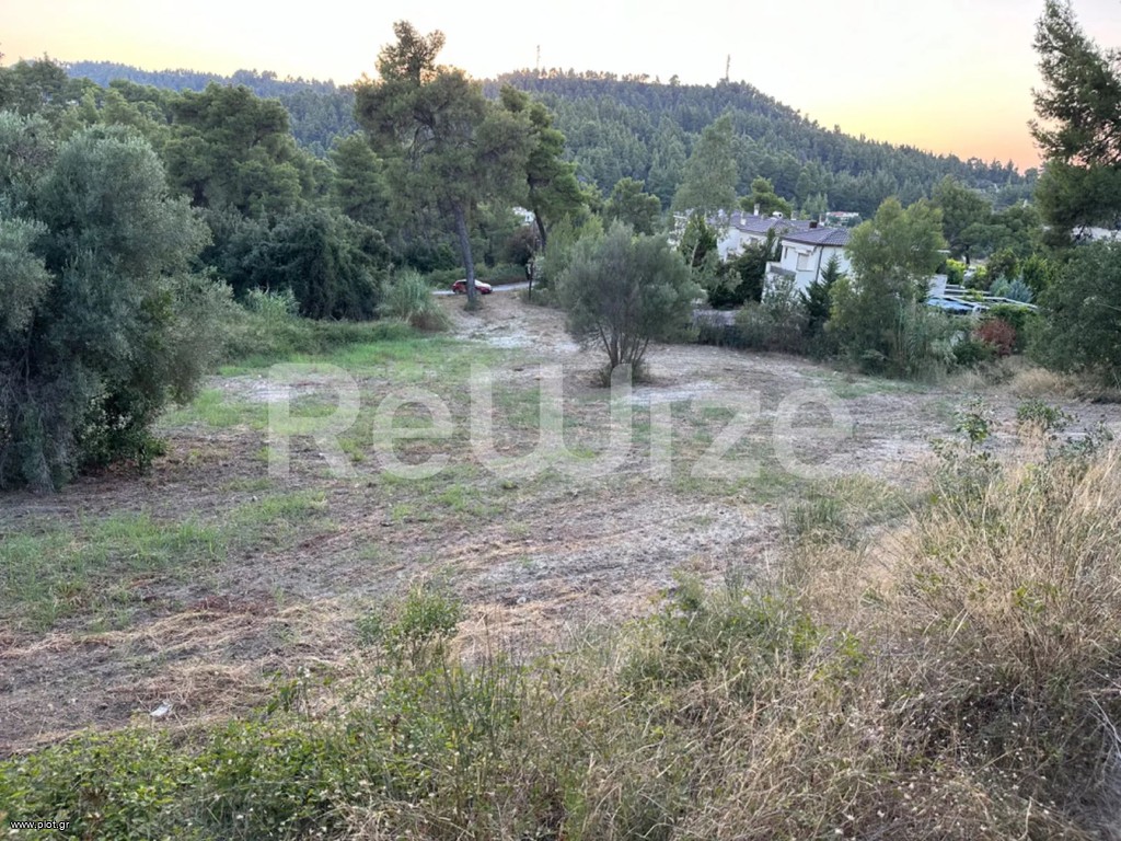 Αγροτεμάχια 5.530 τ.μ. προς πώληση, Κρυοπηγή Κασσάνδρας