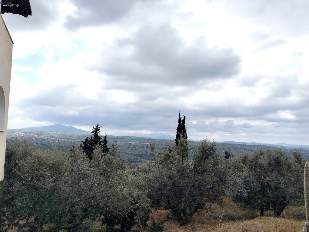 Μονοκατοικία 200 τ.μ. πρός ενοικίαση, Μεσσηνία, Νέστορας