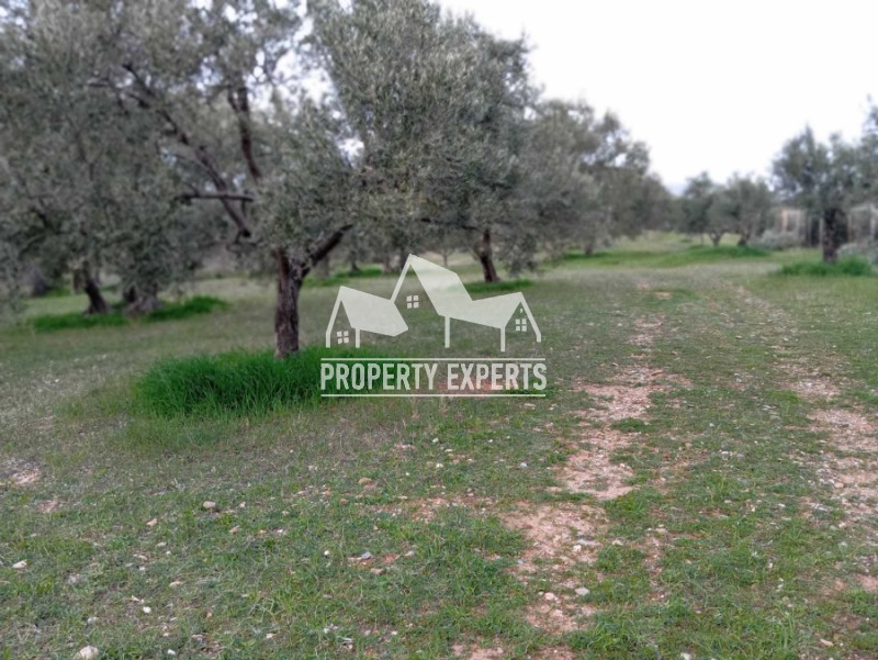 Αγροτεμάχια 4.500 τ.μ. προς πώληση, Δίκελλα
