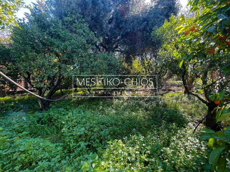 Οικόπεδο 449 τ.μ. προς πώληση, Πόλη Χίου
