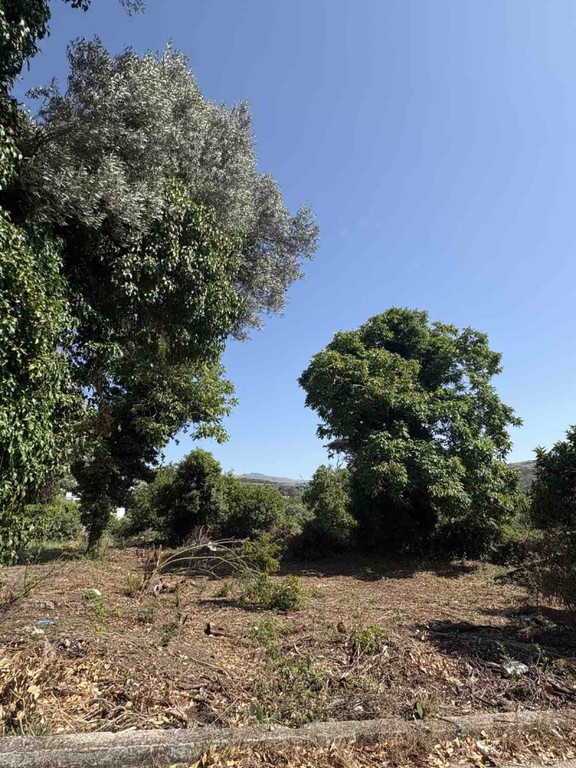 Οικόπεδο 888 τ.μ. πρός πώληση, Ν. Ρεθύμνου, Λάμπη