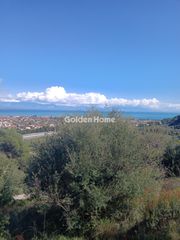 Αγροτεμάχια 22.000 τ.μ. για πώληση