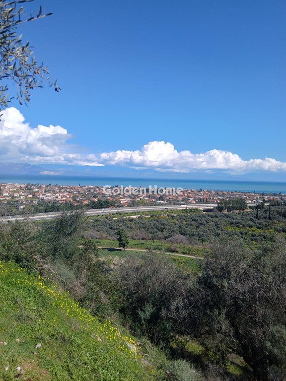 Αγροτεμάχια 22.000 τ.μ. προς πώληση, Ζαχλωρίτικα