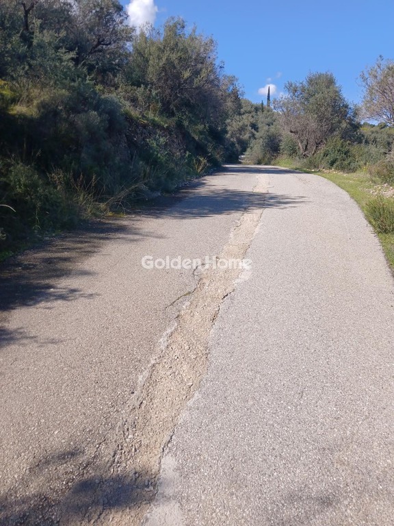 Αγροτεμάχια 22.000 τ.μ. προς πώληση, Ζαχλωρίτικα
