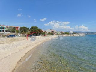 Οικόπεδο 2.000 τ.μ. για πώληση, Χαλκιδική, Σιθωνία-thumb-5