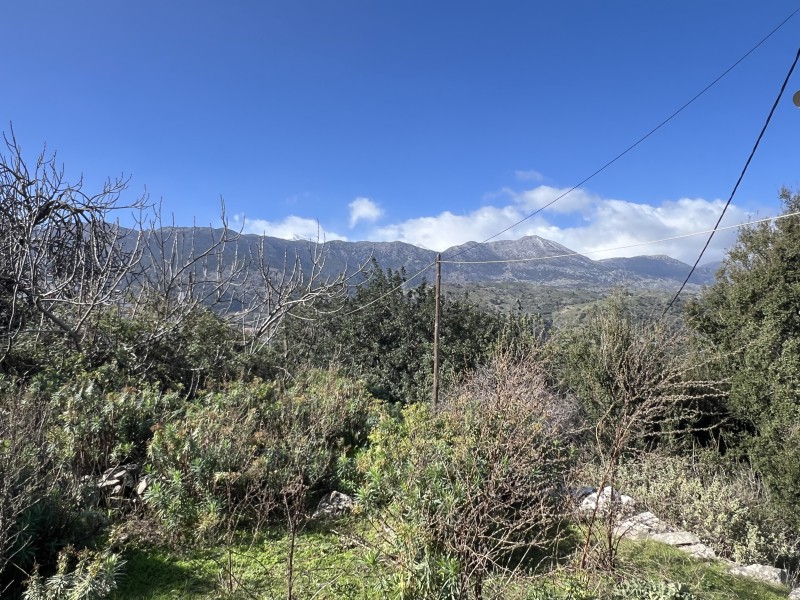 Οικόπεδο 1.306 τ.μ. πρός πώληση, Ν. Χανίων, Κρυονερίδα