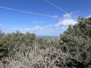 Οικόπεδο 1.306 τ.μ. πρός πώληση, Ν. Χανίων, Κρυονερίδα-thumb-1