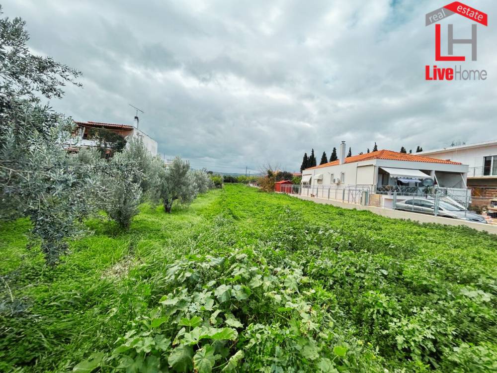 Οικόπεδο 860 τ.μ. πρός πώληση, Κορινθία, Βέλο