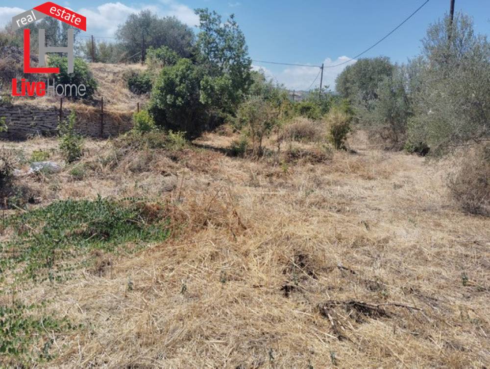 Οικόπεδο 436 τ.μ. πρός πώληση, Κορινθία, Ξυλόκαστρο