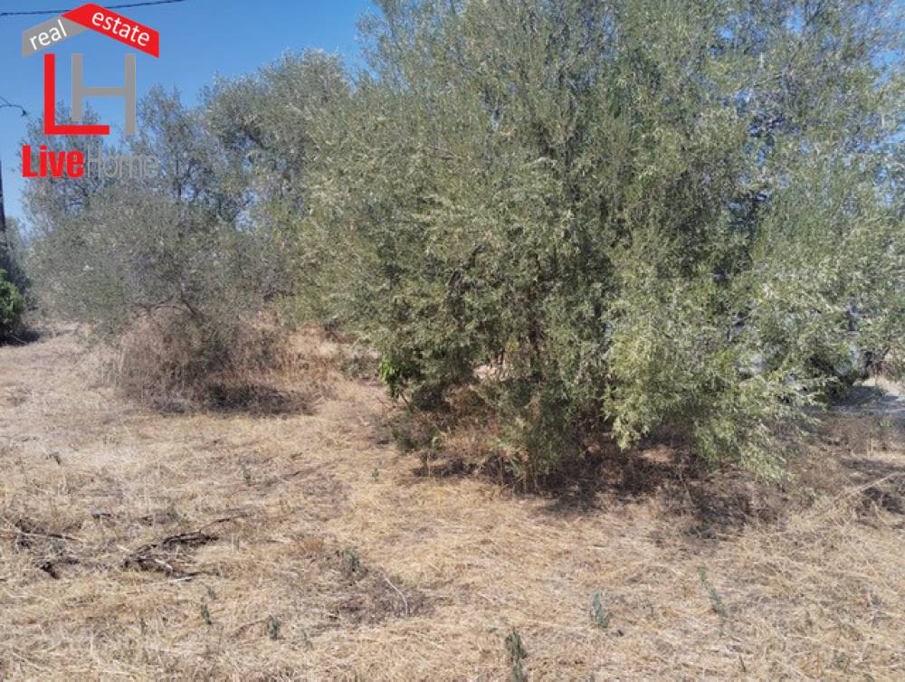 Οικόπεδο 436 τ.μ. πρός πώληση, Κορινθία, Ξυλόκαστρο
