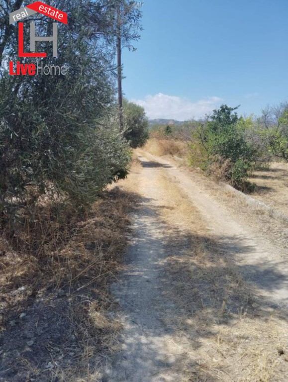 Οικόπεδο 436 τ.μ. πρός πώληση, Κορινθία, Ξυλόκαστρο