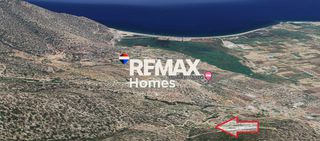 Αγροτεμάχια 6.065 τ.μ. για πώληση