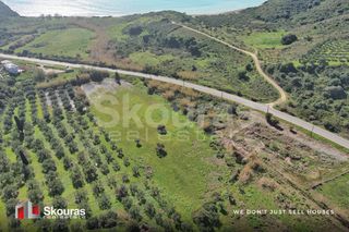 Αγροτεμάχια 10.993 τ.μ. για πώληση, Μεσσηνία, Μεθώνη-thumb-10