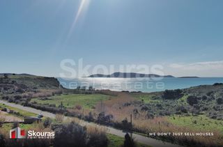 Αγροτεμάχια 10.993 τ.μ. για πώληση, Μεσσηνία, Μεθώνη-thumb-16