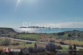 Αγροτεμάχια 10.993 τ.μ. για πώληση, Μεσσηνία, Μεθώνη-thumb-19