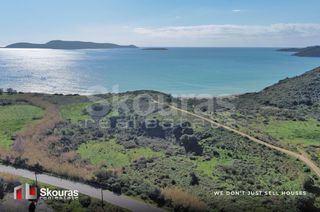 Αγροτεμάχια 10.993 τ.μ. για πώληση, Μεσσηνία, Μεθώνη-thumb-15