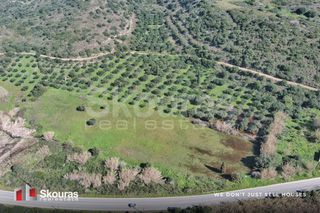 Αγροτεμάχια 10.993 τ.μ. για πώληση, Μεσσηνία, Μεθώνη-thumb-9