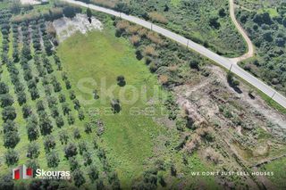 Αγροτεμάχια 10.993 τ.μ. για πώληση, Μεσσηνία, Μεθώνη-thumb-3